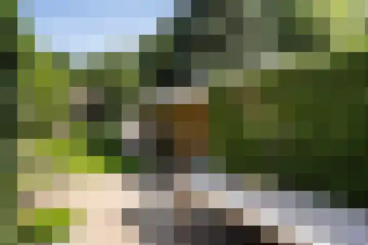 Ruiterlaan 31 Zwolle thumbnail 36