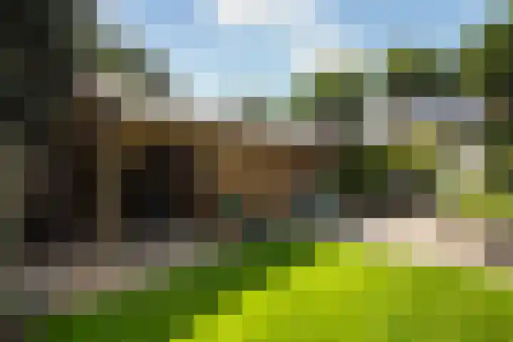 Ruiterlaan 31 Zwolle thumbnail 37