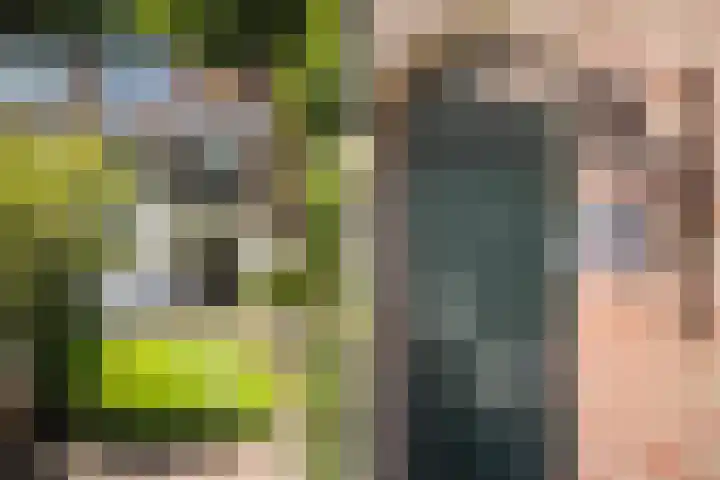 Ruiterlaan 31 Zwolle thumbnail 39