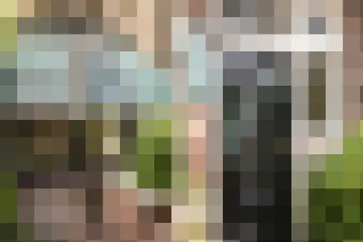 Ruiterlaan 31 Zwolle thumbnail 4