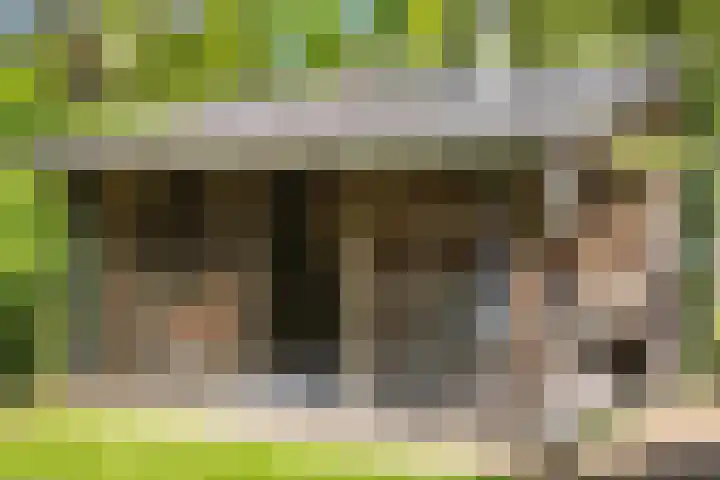 Ruiterlaan 31 Zwolle thumbnail 41