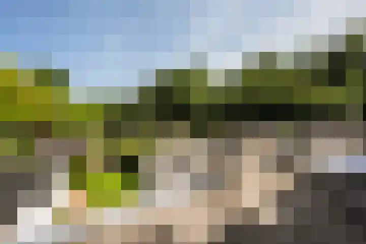 Ruiterlaan 31 Zwolle thumbnail 45