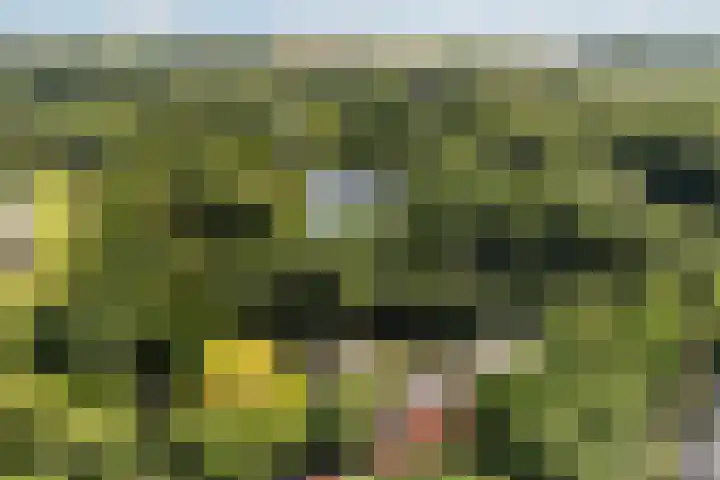 Ruiterlaan 31 Zwolle thumbnail 46