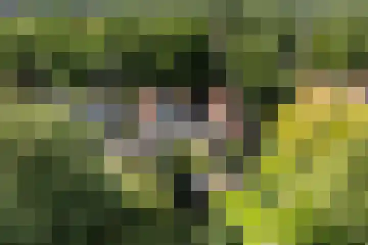 Ruiterlaan 31 Zwolle thumbnail 47