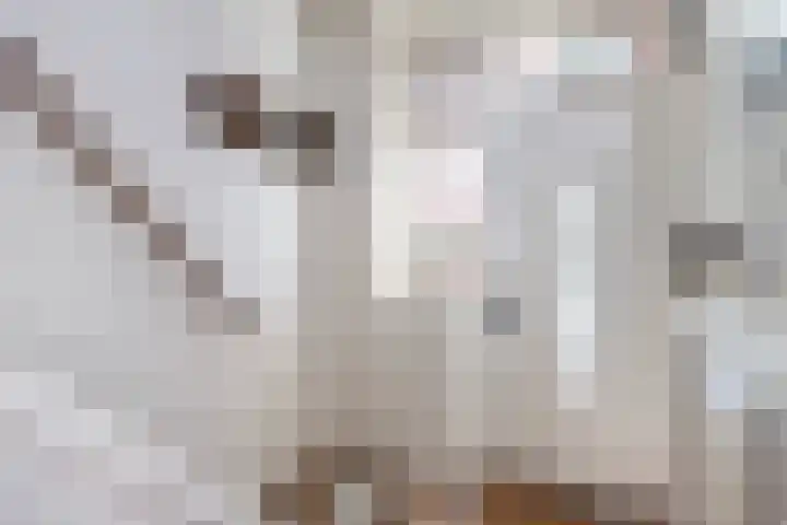 Ruiterlaan 31 Zwolle thumbnail 5