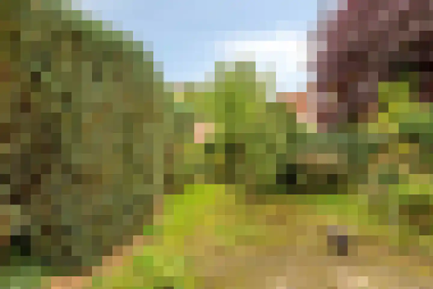 Ruiterpad 12 Baarle-Nassau thumbnail 43