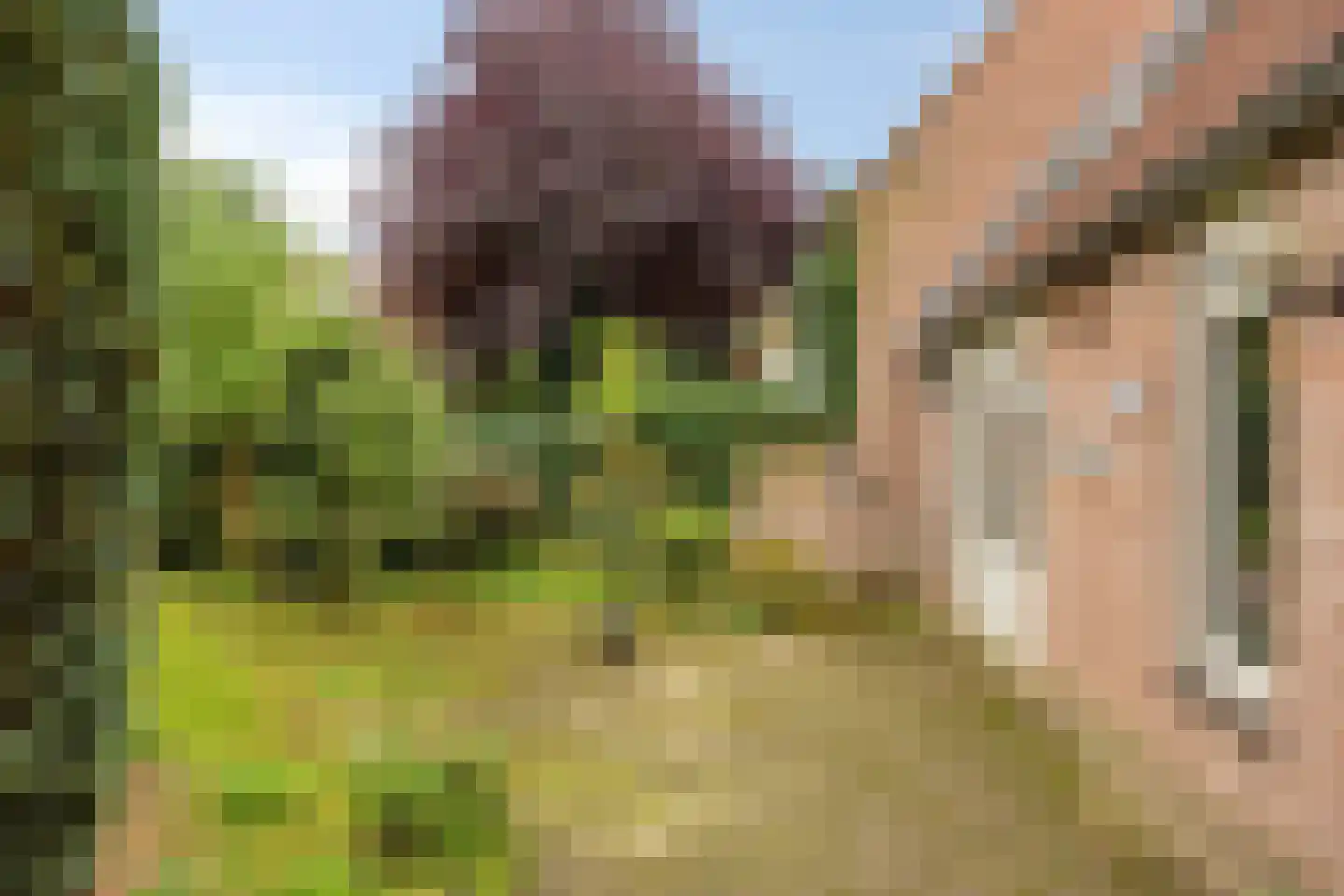 Ruiterpad 12 Baarle-Nassau thumbnail 45
