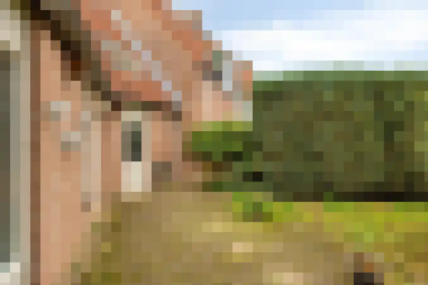 Ruiterpad 12 Baarle-Nassau thumbnail 46