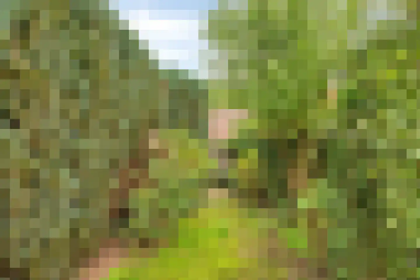 Ruiterpad 12 Baarle-Nassau thumbnail 47