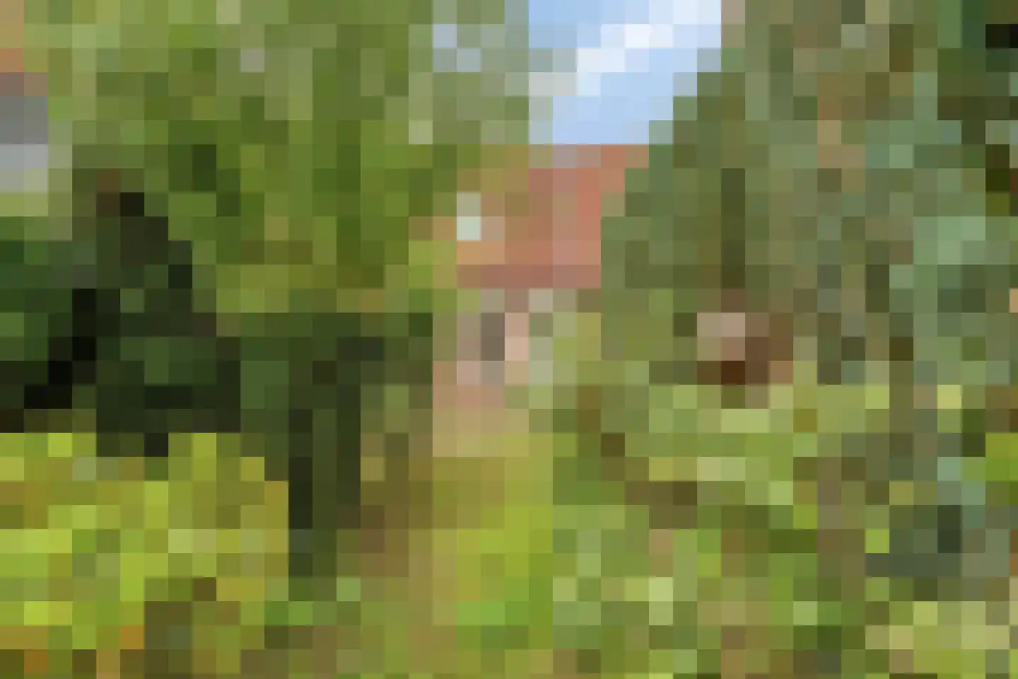 Ruiterpad 12 Baarle-Nassau thumbnail 48