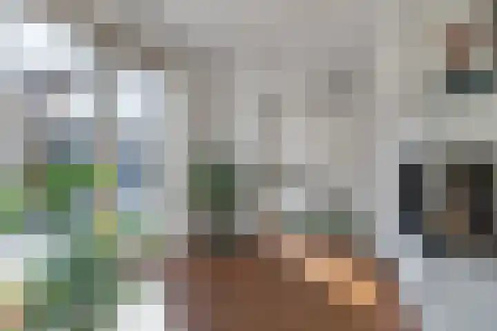 Ruiterpad 16 Den Dungen thumbnail 10
