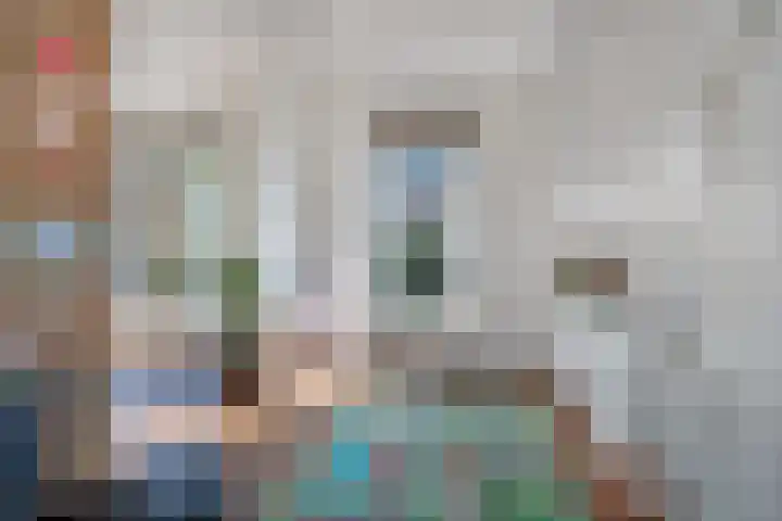 Ruiterpad 16 Den Dungen thumbnail 11