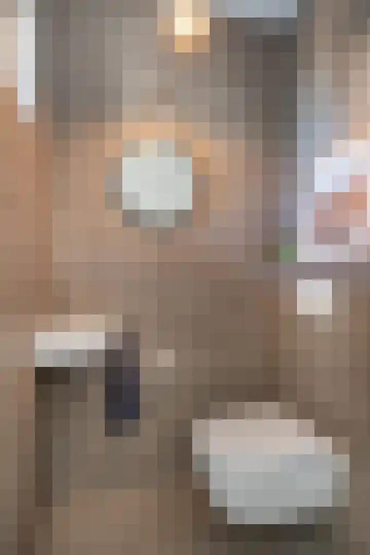 Ruiterpad 16 Den Dungen thumbnail 14