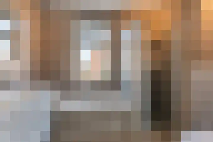 Ruiterpad 16 Den Dungen thumbnail 20