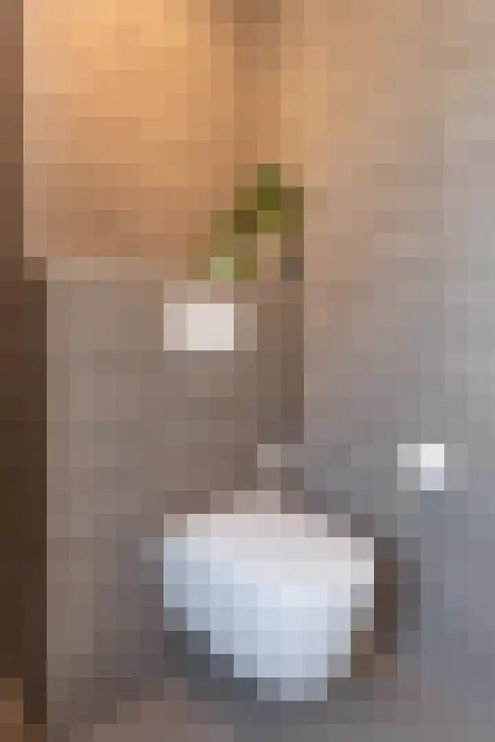 Ruiterpad 16 Den Dungen thumbnail 22