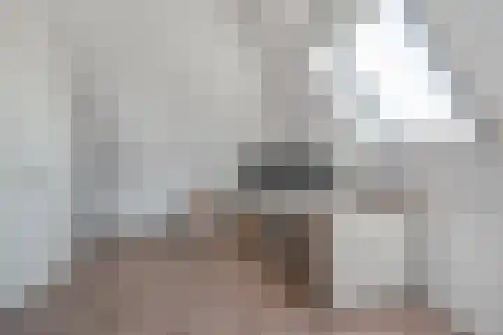 Ruiterpad 16 Den Dungen thumbnail 25