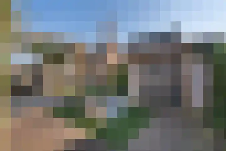 Ruiterpad 16 Den Dungen thumbnail 27