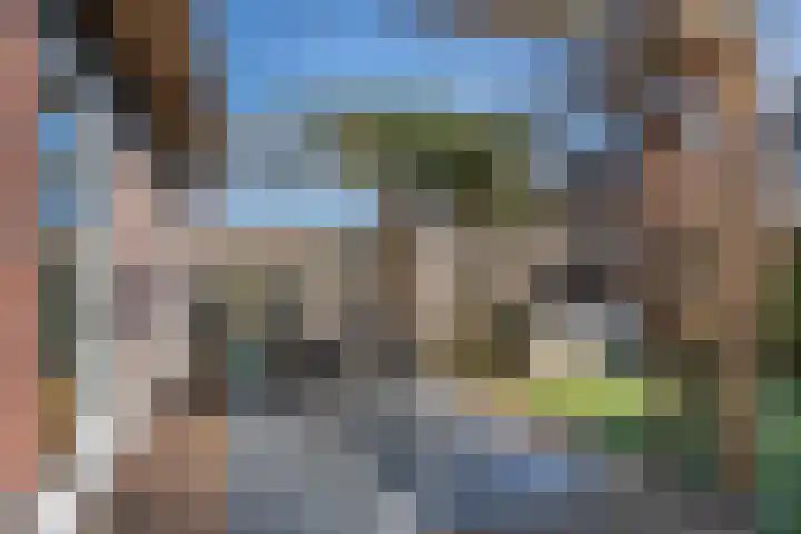 Ruiterpad 16 Den Dungen thumbnail 28
