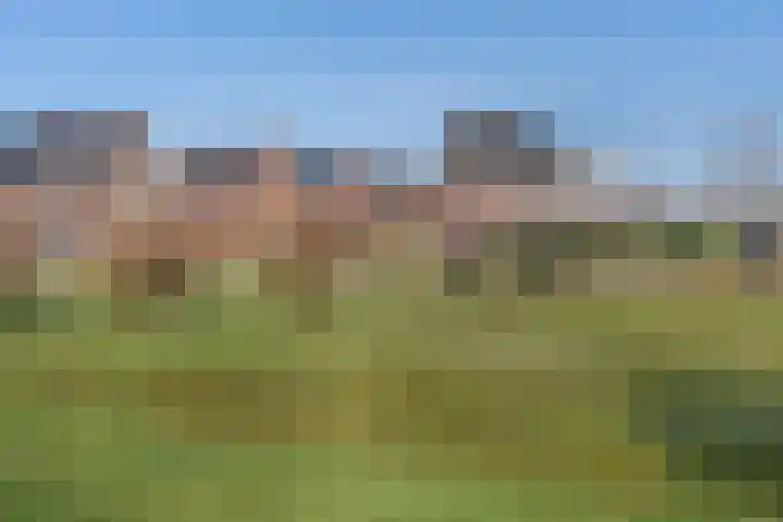 Ruiterpad 16 Den Dungen thumbnail 33
