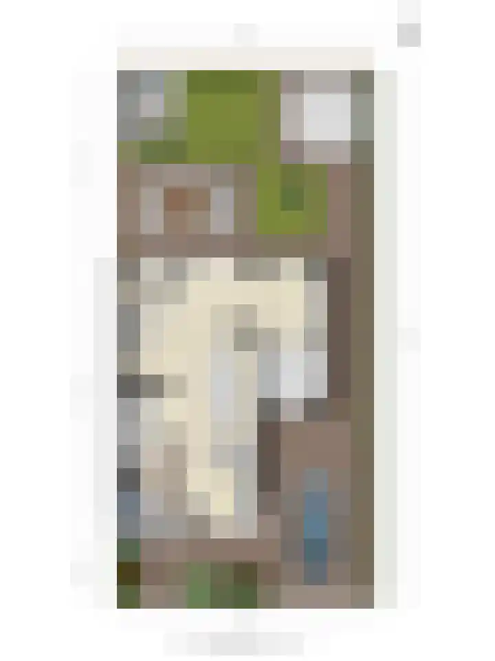 Ruiterpad 16 Den Dungen thumbnail 39