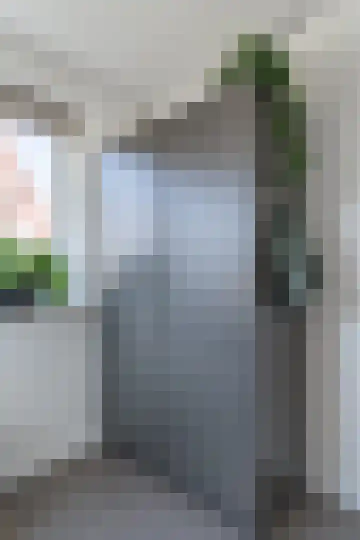 Ruiterpad 16 Den Dungen thumbnail 5