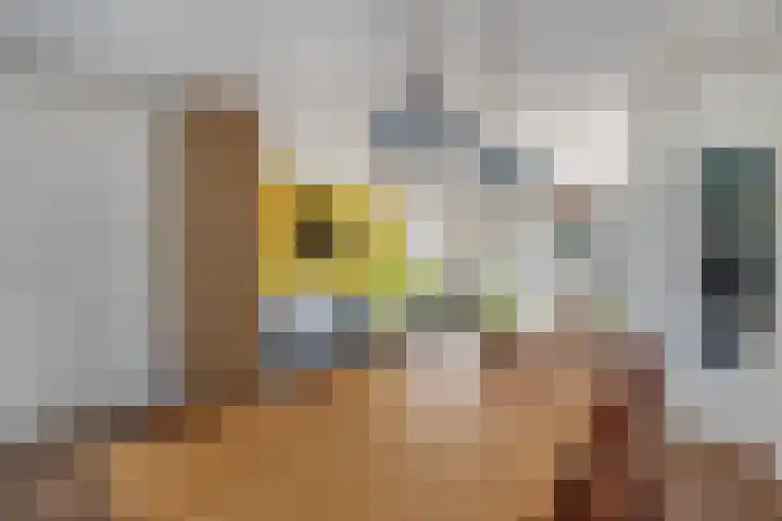 Ruiterpad 16 Den Dungen thumbnail 6