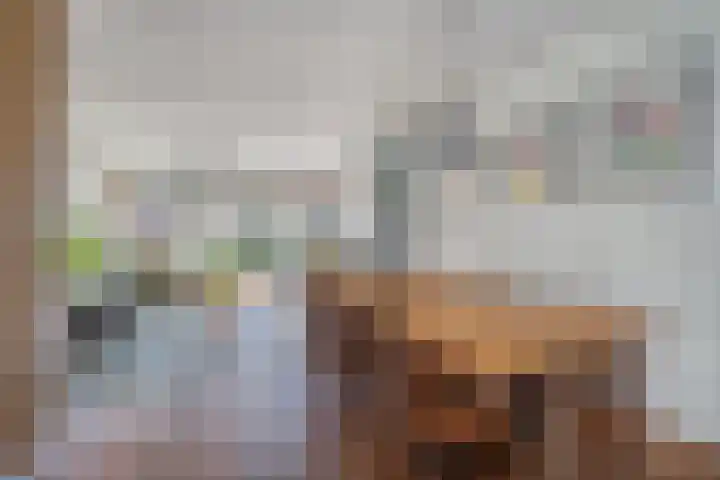 Ruiterpad 16 Den Dungen thumbnail 7