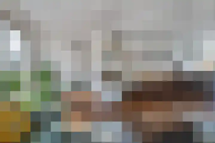 Ruiterpad 16 Den Dungen thumbnail 8