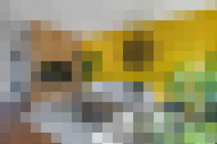 Ruiterpad 16 Den Dungen thumbnail 9