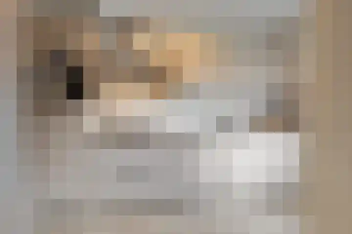 Ruiterpad 2 Baarle-Nassau thumbnail 10