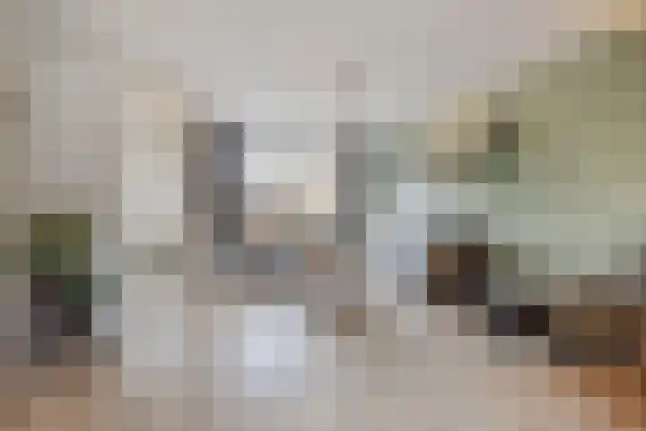 Ruiterpad 2 Baarle-Nassau thumbnail 13