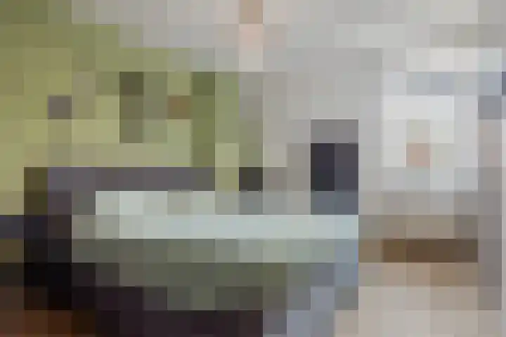 Ruiterpad 2 Baarle-Nassau thumbnail 18