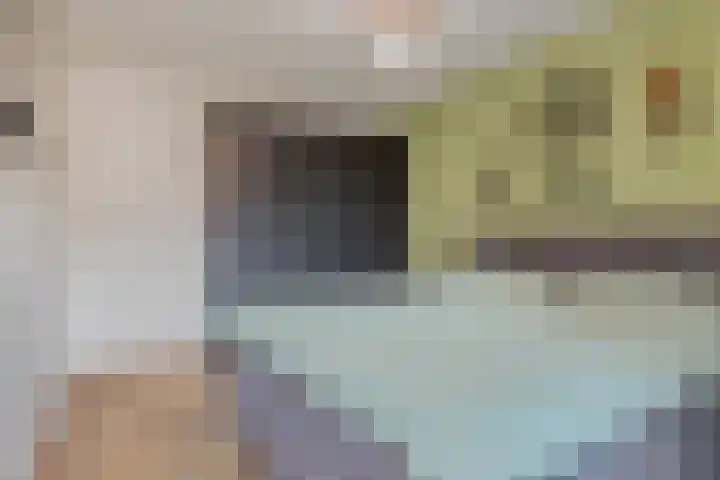 Ruiterpad 2 Baarle-Nassau thumbnail 19