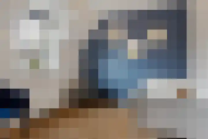 Ruiterpad 2 Baarle-Nassau thumbnail 20