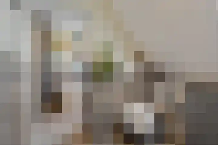 Ruiterpad 2 Baarle-Nassau thumbnail 25