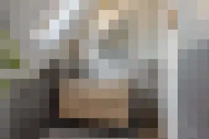 Ruiterpad 2 Baarle-Nassau thumbnail 26