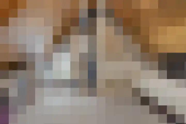 Ruiterpad 2 Baarle-Nassau thumbnail 31