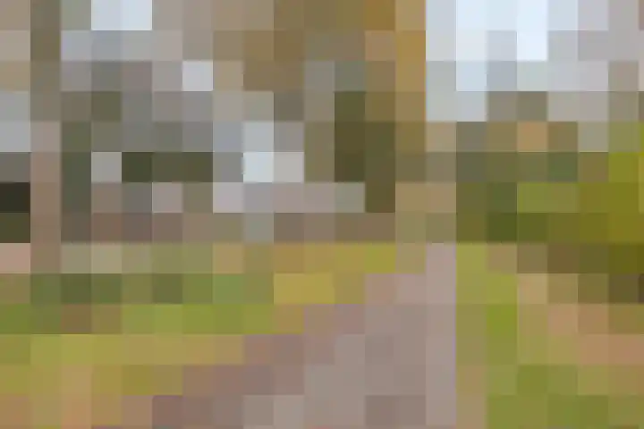 Ruiterpad 2 Baarle-Nassau thumbnail 40