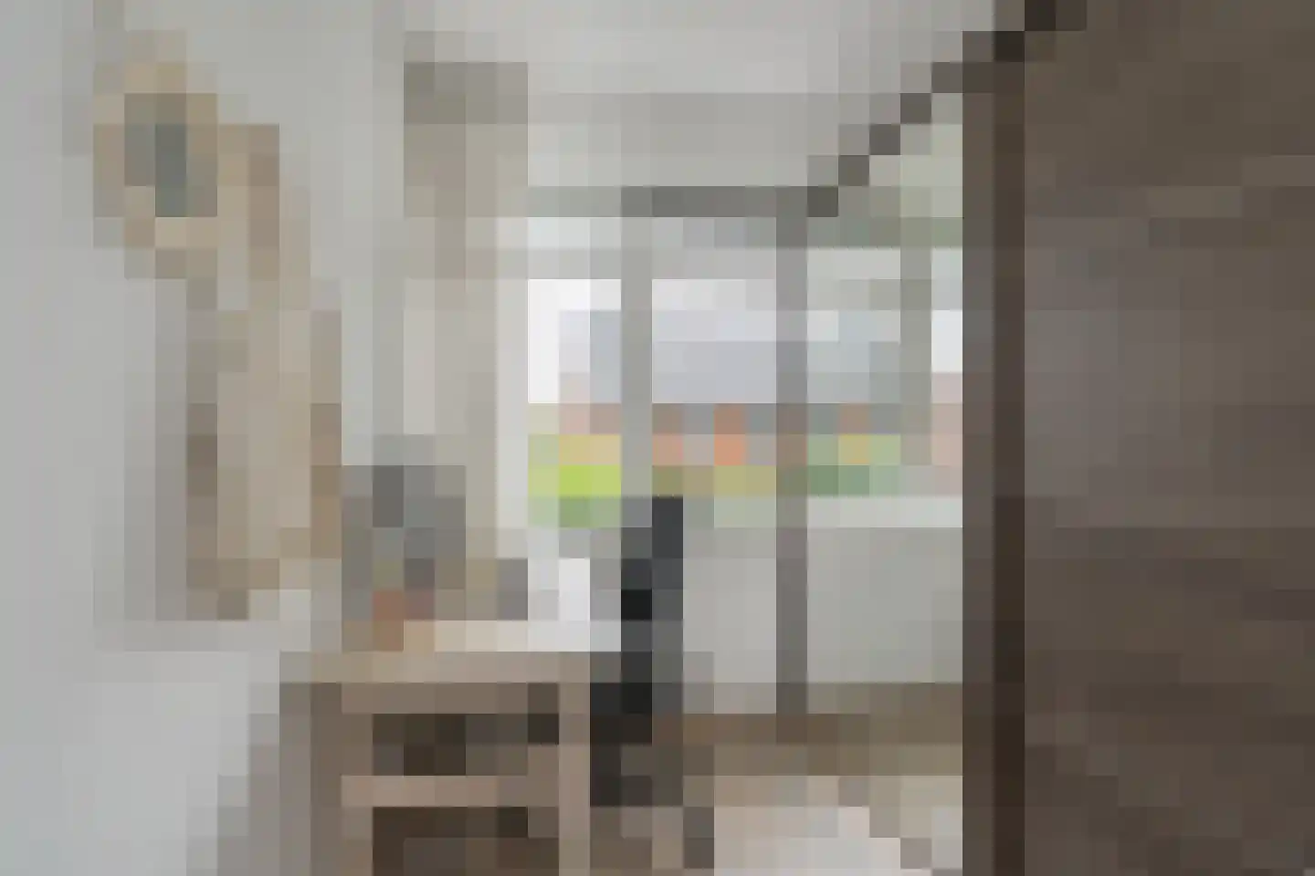 Ruiterpad 20 Den Dungen thumbnail 16