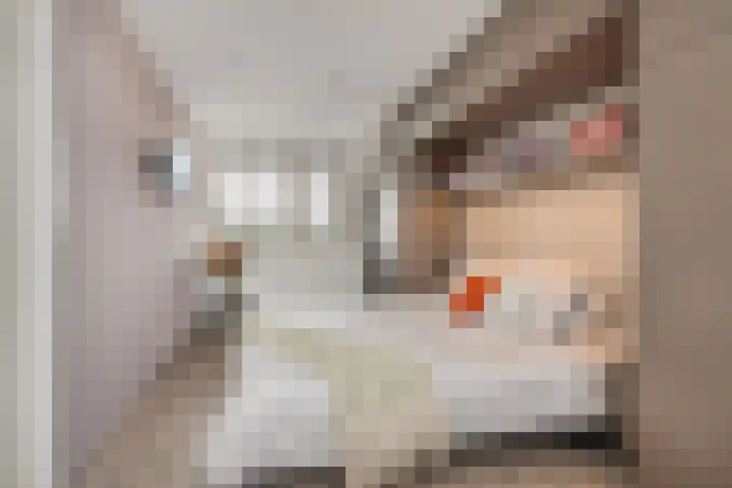 Ruiterpad 20 Den Dungen thumbnail 22