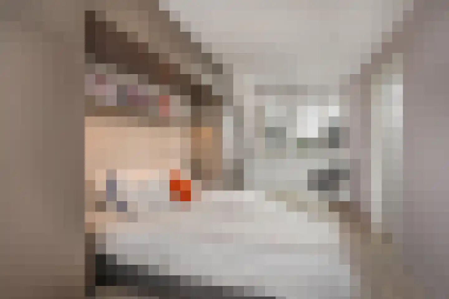 Ruiterpad 20 Den Dungen thumbnail 23