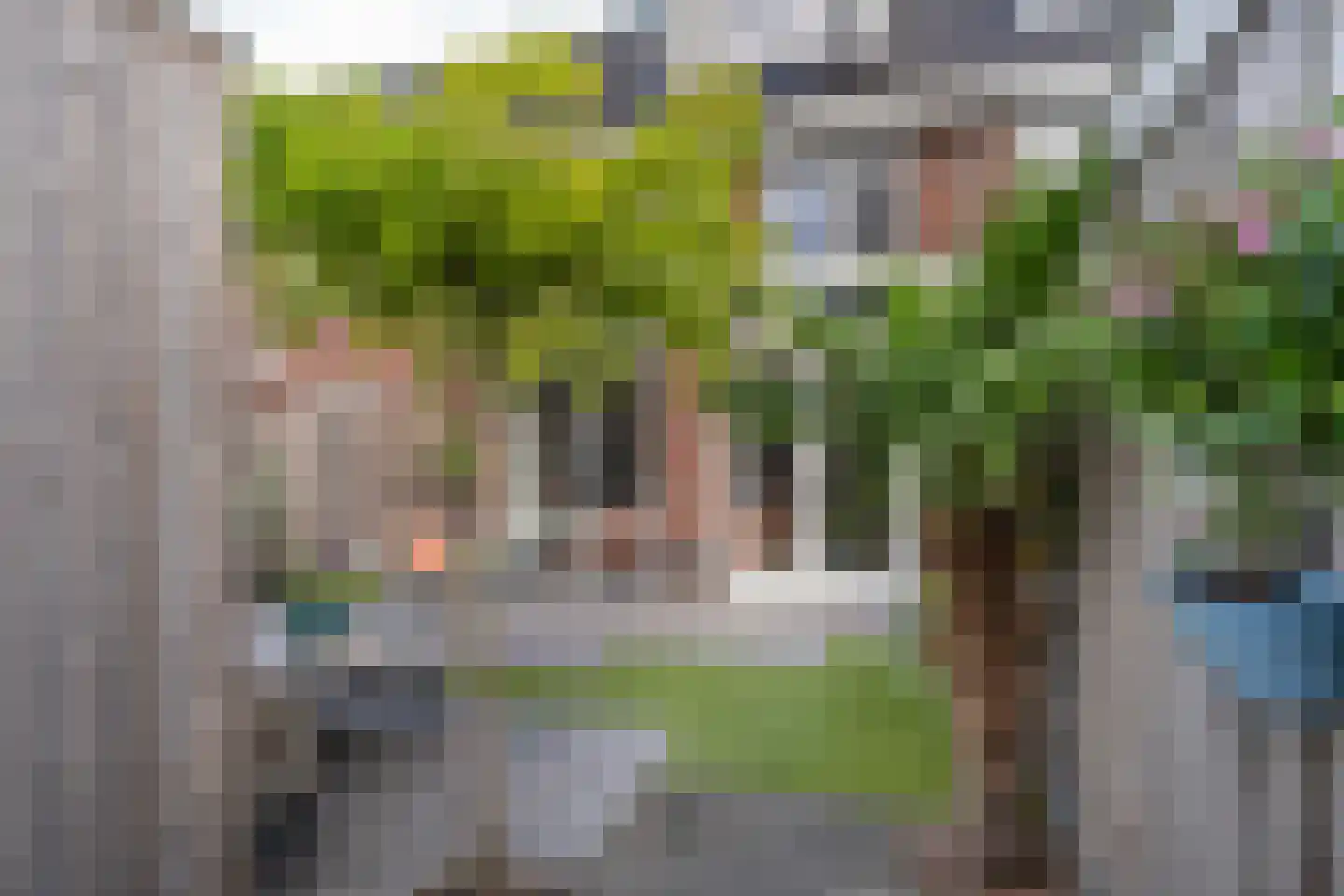 Ruiterpad 20 Den Dungen thumbnail 26