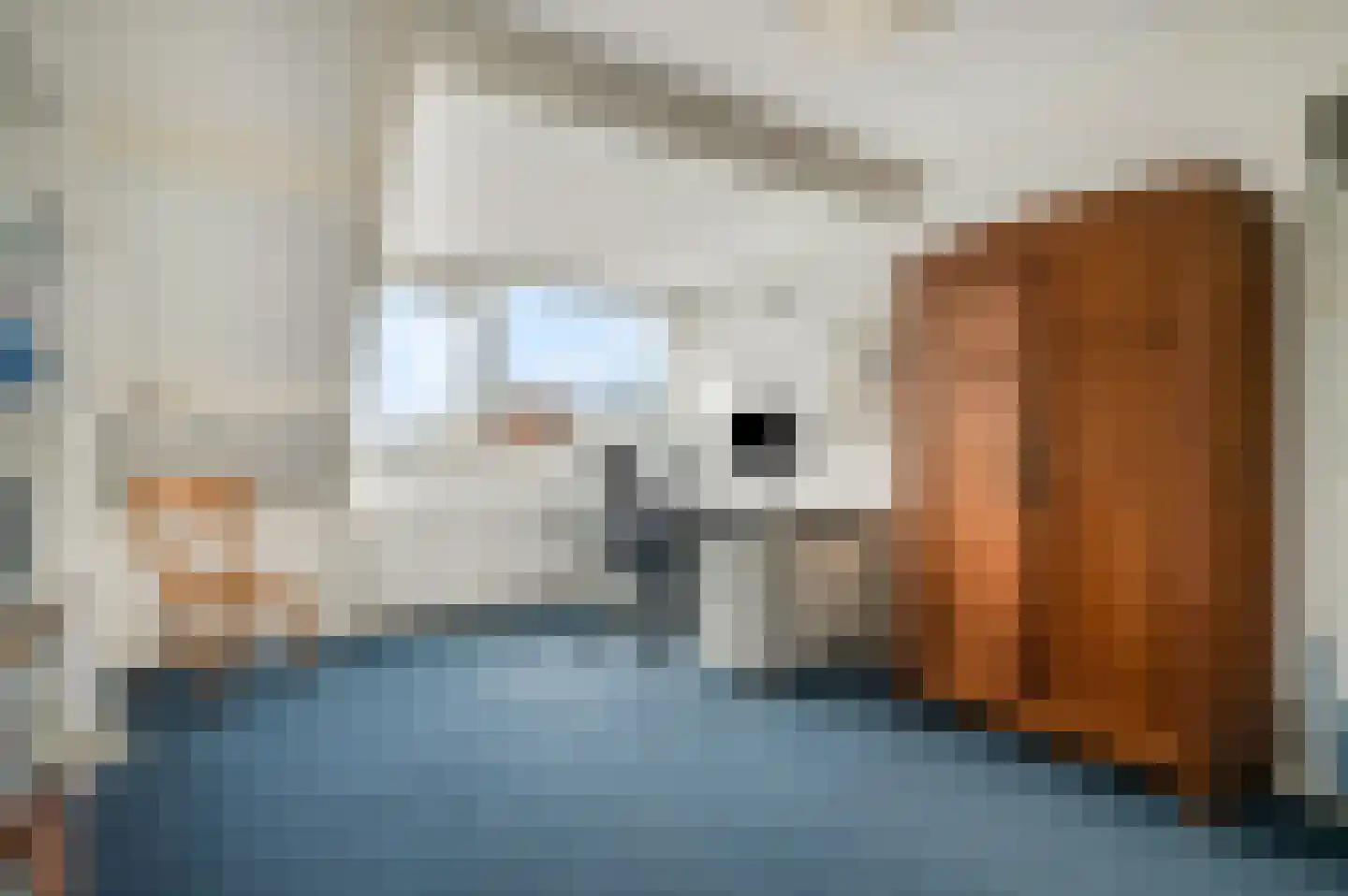 Ruiterpad 25 Rhenen thumbnail 28