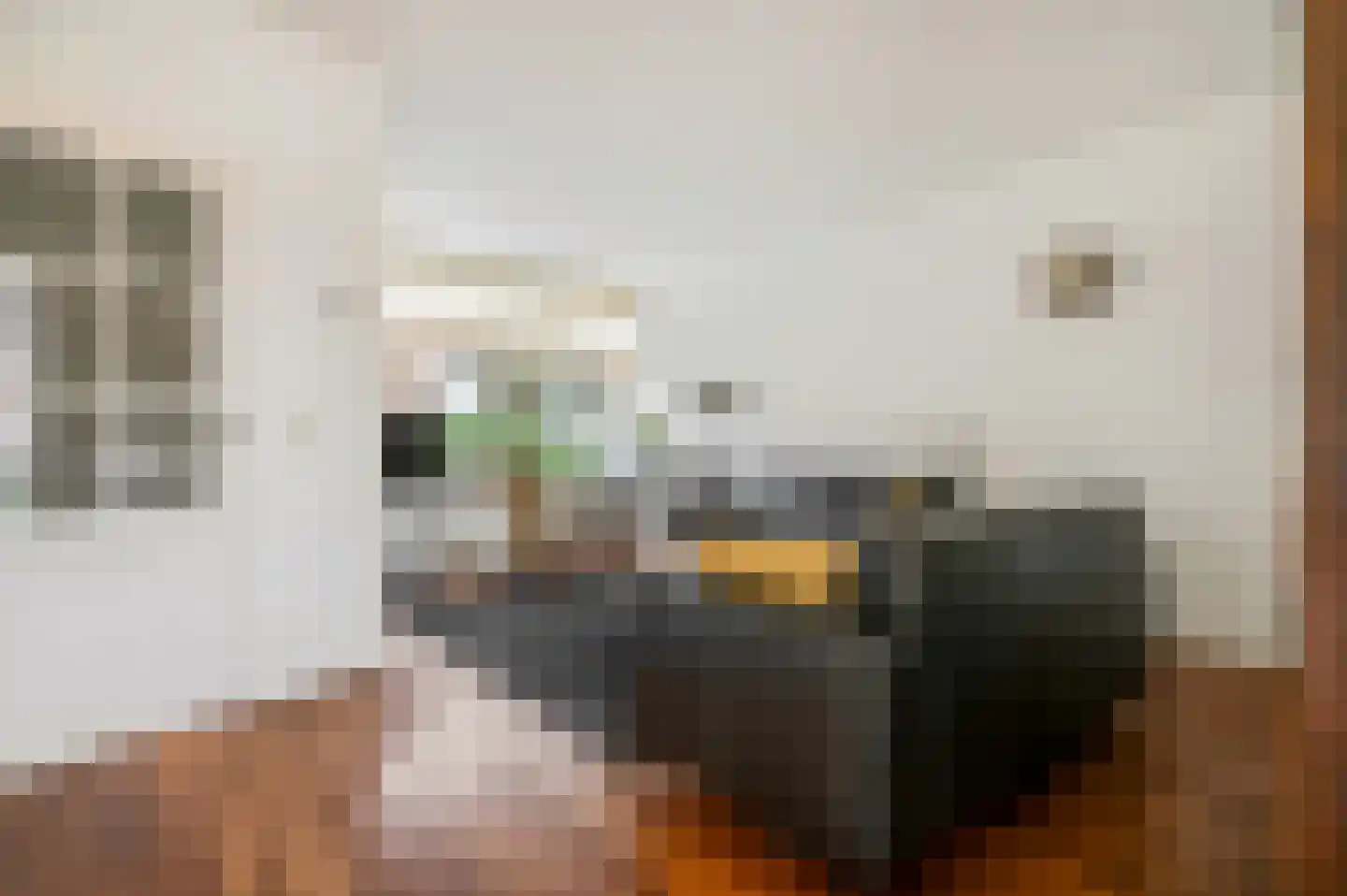 Ruiterpad 25 Rhenen thumbnail 6