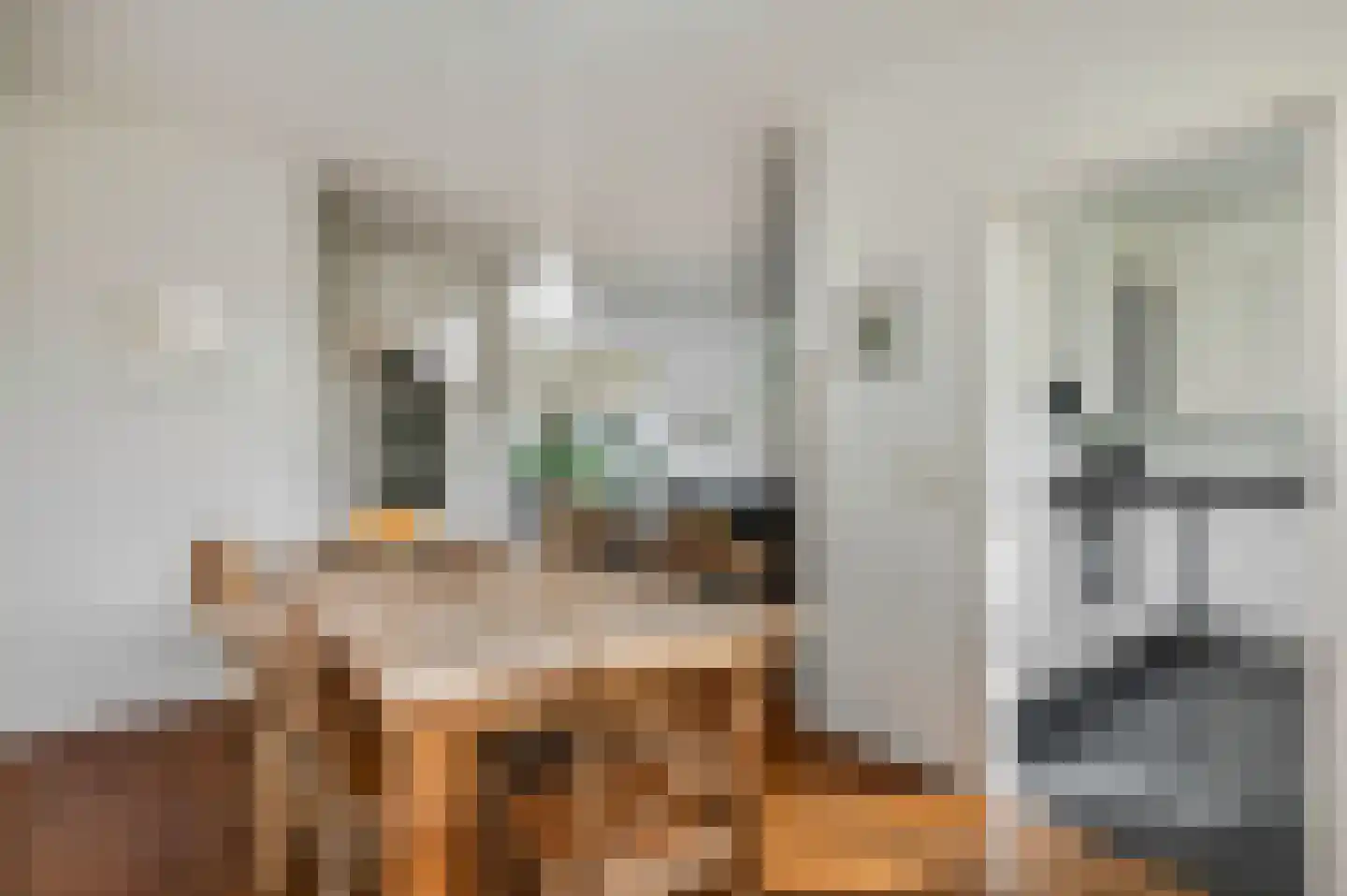 Ruiterpad 25 Rhenen thumbnail 9