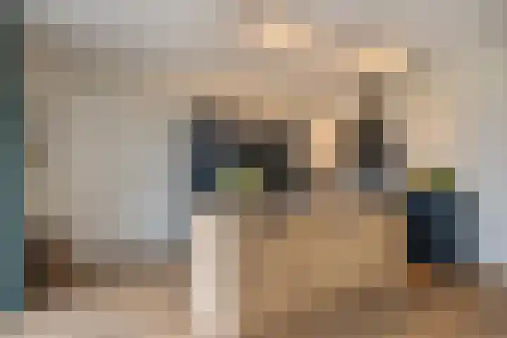 Ruiterpad 27 Den Dungen thumbnail 11