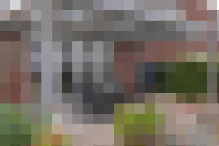 Ruiterpad 27 Den Dungen thumbnail 29