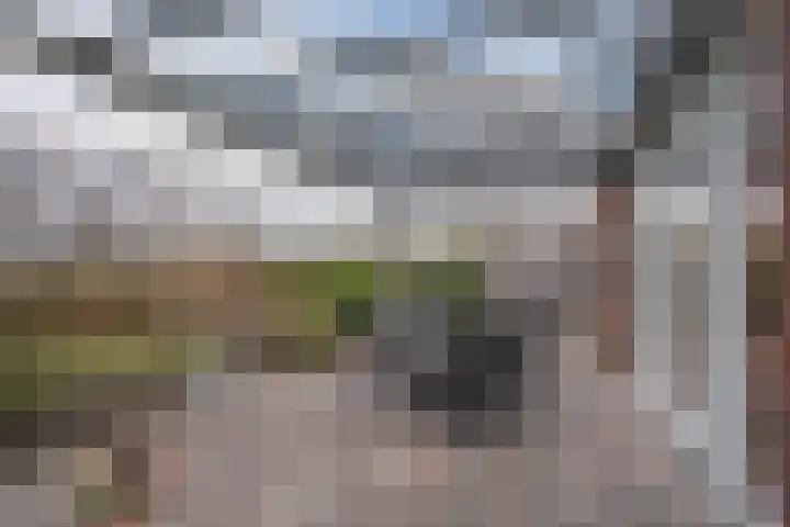 Ruiterpad 27 Den Dungen thumbnail 30