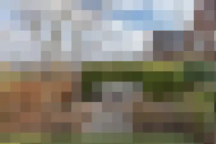 Ruiterpad 27 Den Dungen thumbnail 34