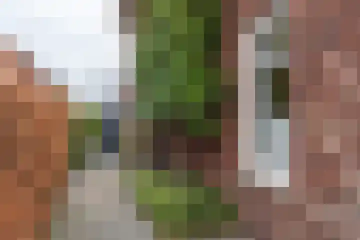 Ruiterpad 27 Den Dungen thumbnail 36